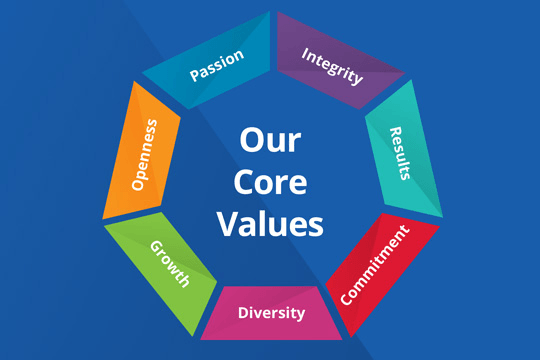 our values our people